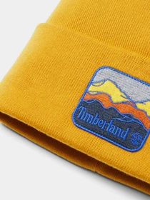 Шапки и кепки Timberland модель TB0A2PNJEFM Фото