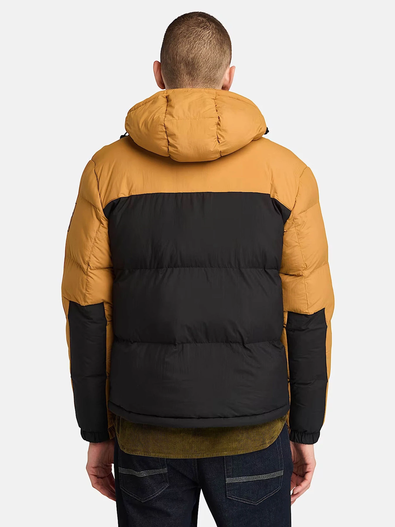 Куртки и дубленки Timberland модель TB0A6267P57 Куртки и дубленки Timberland модель TB0A6267P57 Фото
