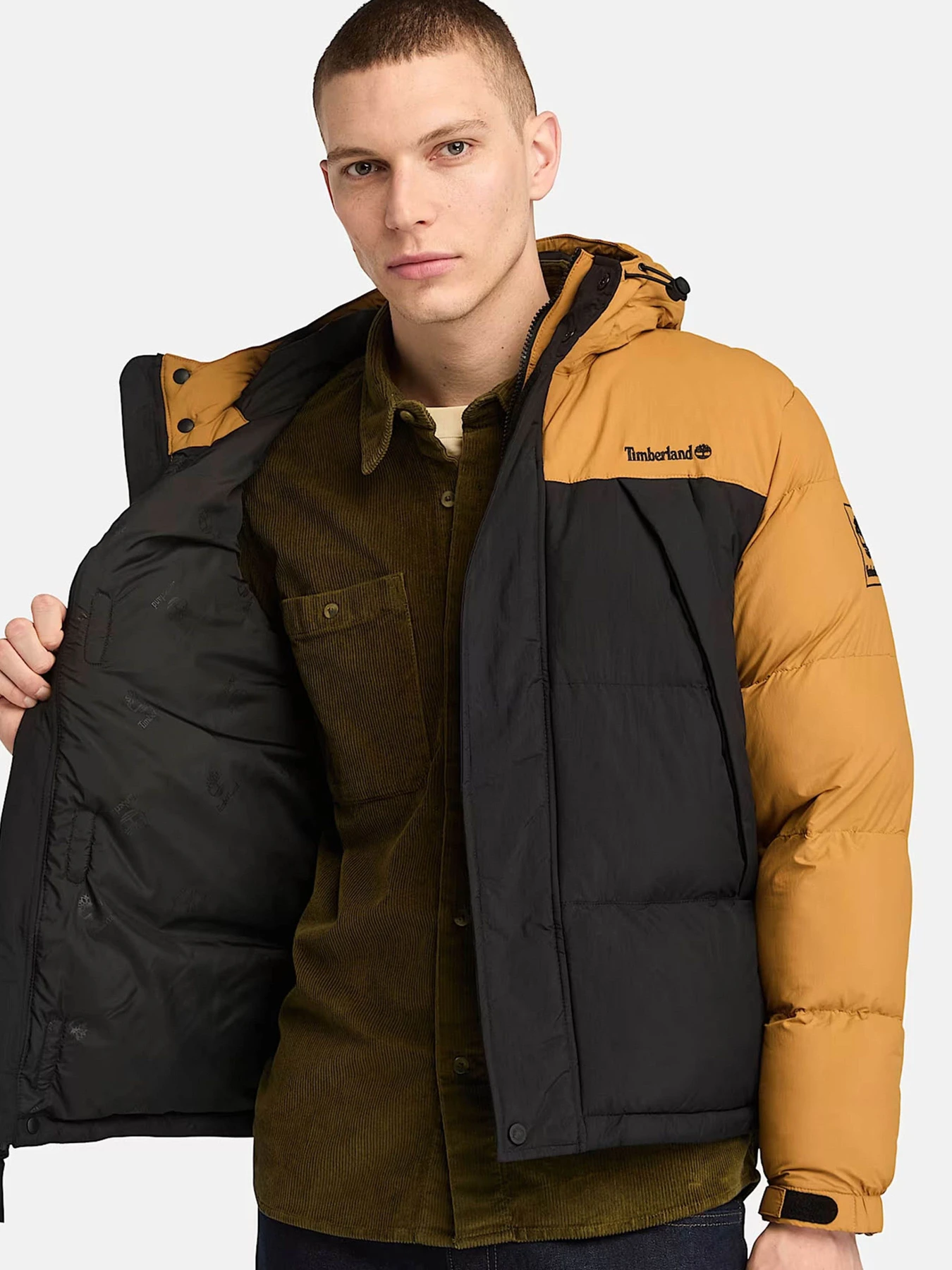 Куртки и дубленки Timberland модель TB0A6267P57 Куртки и дубленки Timberland модель TB0A6267P57 Фото