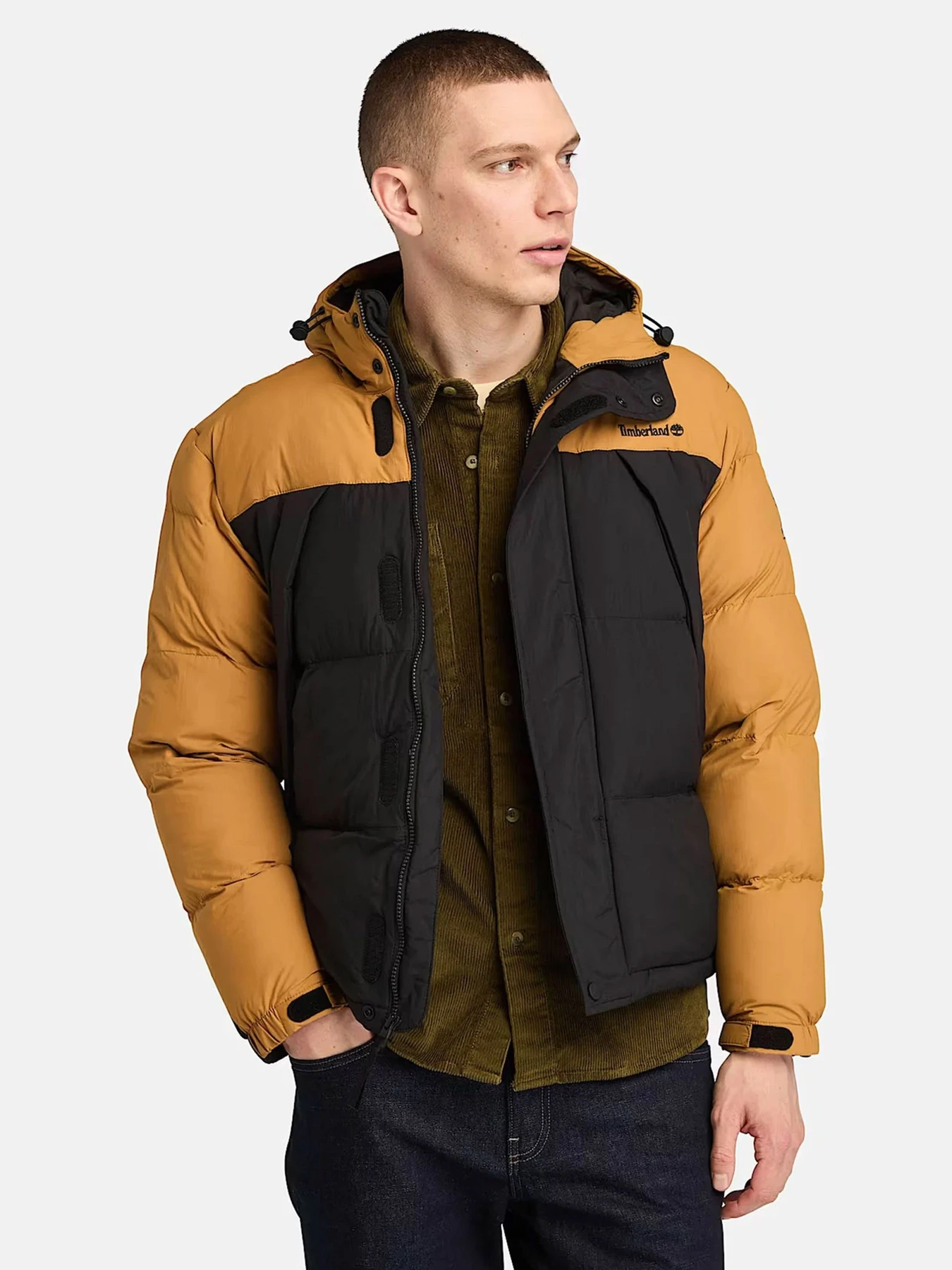 Куртки и дубленки Timberland модель TB0A6267P57 Куртки и дубленки Timberland модель TB0A6267P57 Фото
