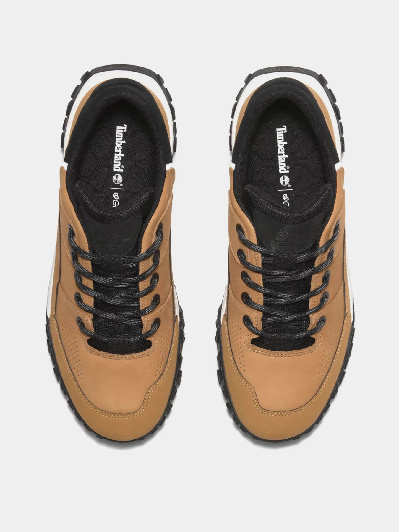 Кроссовки Timberland модель TB0A6BZWEJS Кроссовки Timberland модель TB0A6BZWEJS Фото