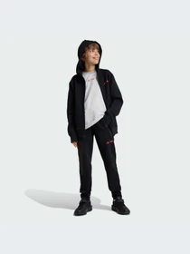 Брюки Adidas модель IV9632-KZ Фото