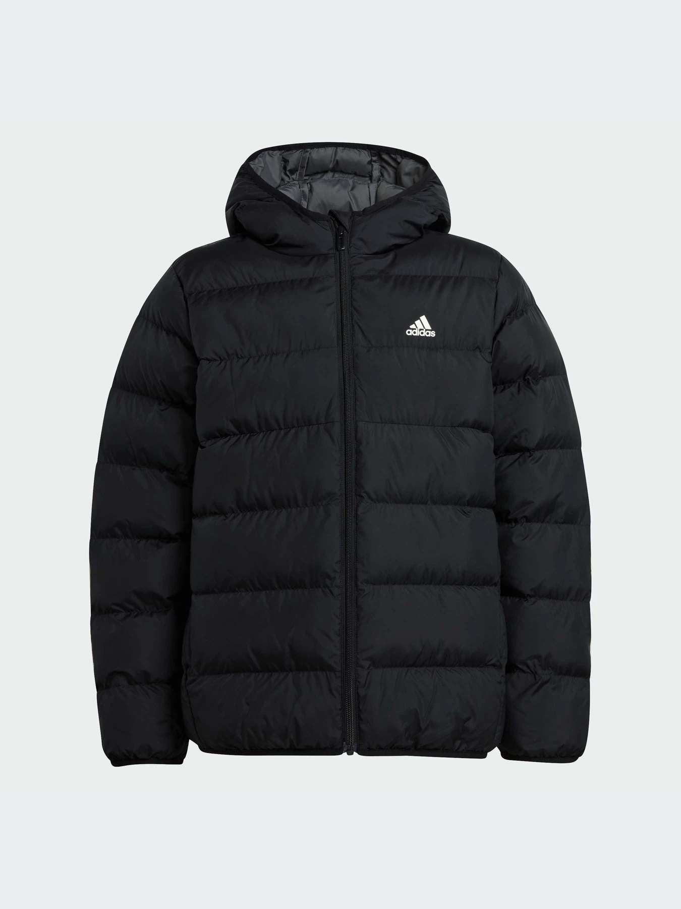 Куртки и дубленки Adidas модель IV9505-KZ Куртки и дубленки Adidas модель IV9505-KZ Фото