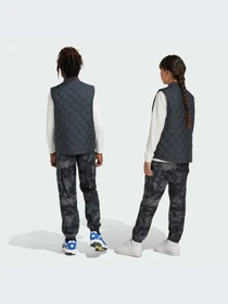 Брюки Adidas модель IY1752-KZ Фото