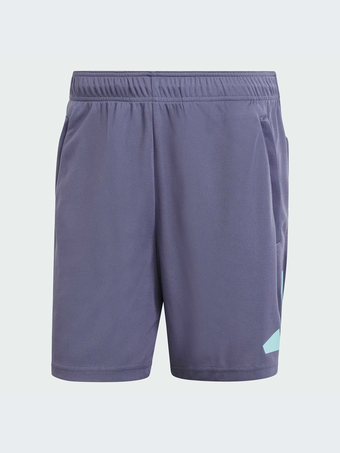 Шорты Adidas модель IW3410-KZ Шорты Adidas модель IW3410-KZ Фото