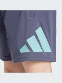 Шорты Adidas модель IW3410-KZ Фото