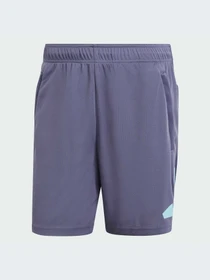 Шорты Adidas модель IW3410-KZ Фото