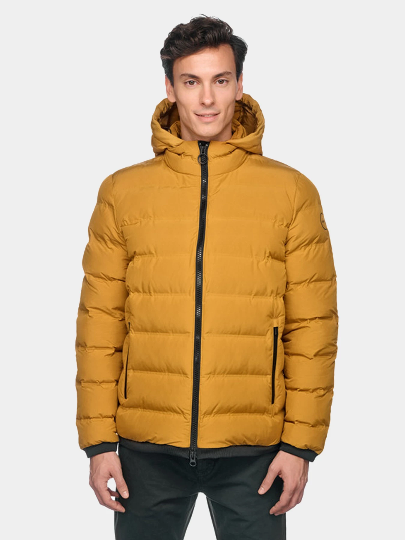 Куртки и дубленки Geox Spherica модель M4629C-T3128-F2153 Куртки и дубленки Geox Spherica модель M4629C-T3128-F2153 Фото