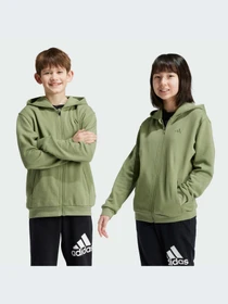 Худи и свитшоты Adidas модель IX9447-KZ Фото