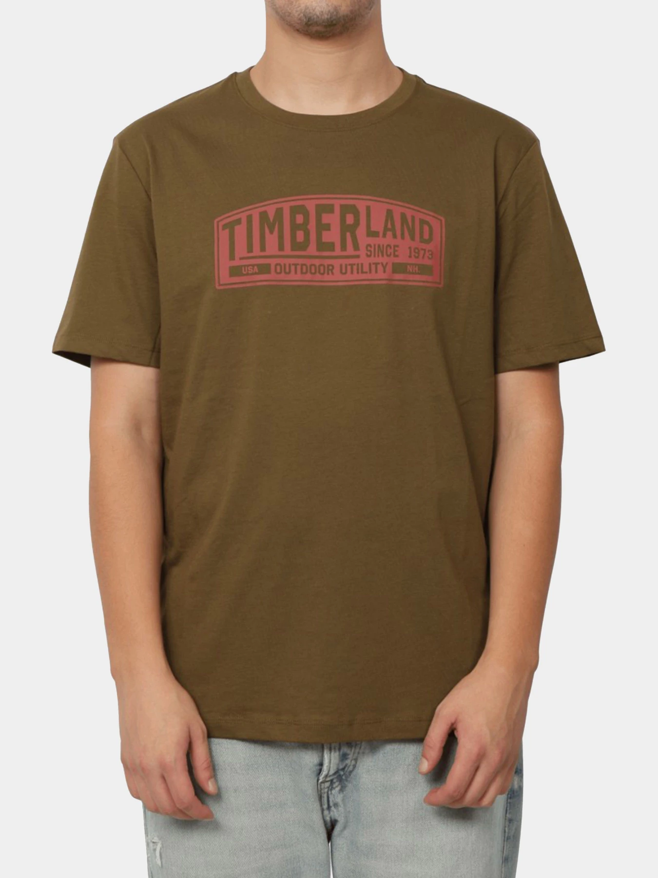 Футболки и поло Timberland модель TB0A6WG2302 Фото