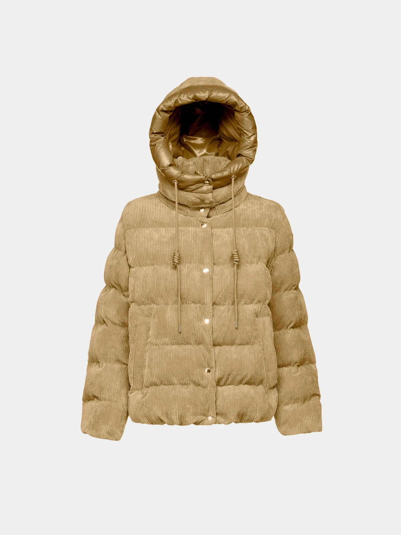 Куртки и дубленки Geox модель W4628D-T3153-F5233 Куртки и дубленки Geox модель W4628D-T3153-F5233 Фото