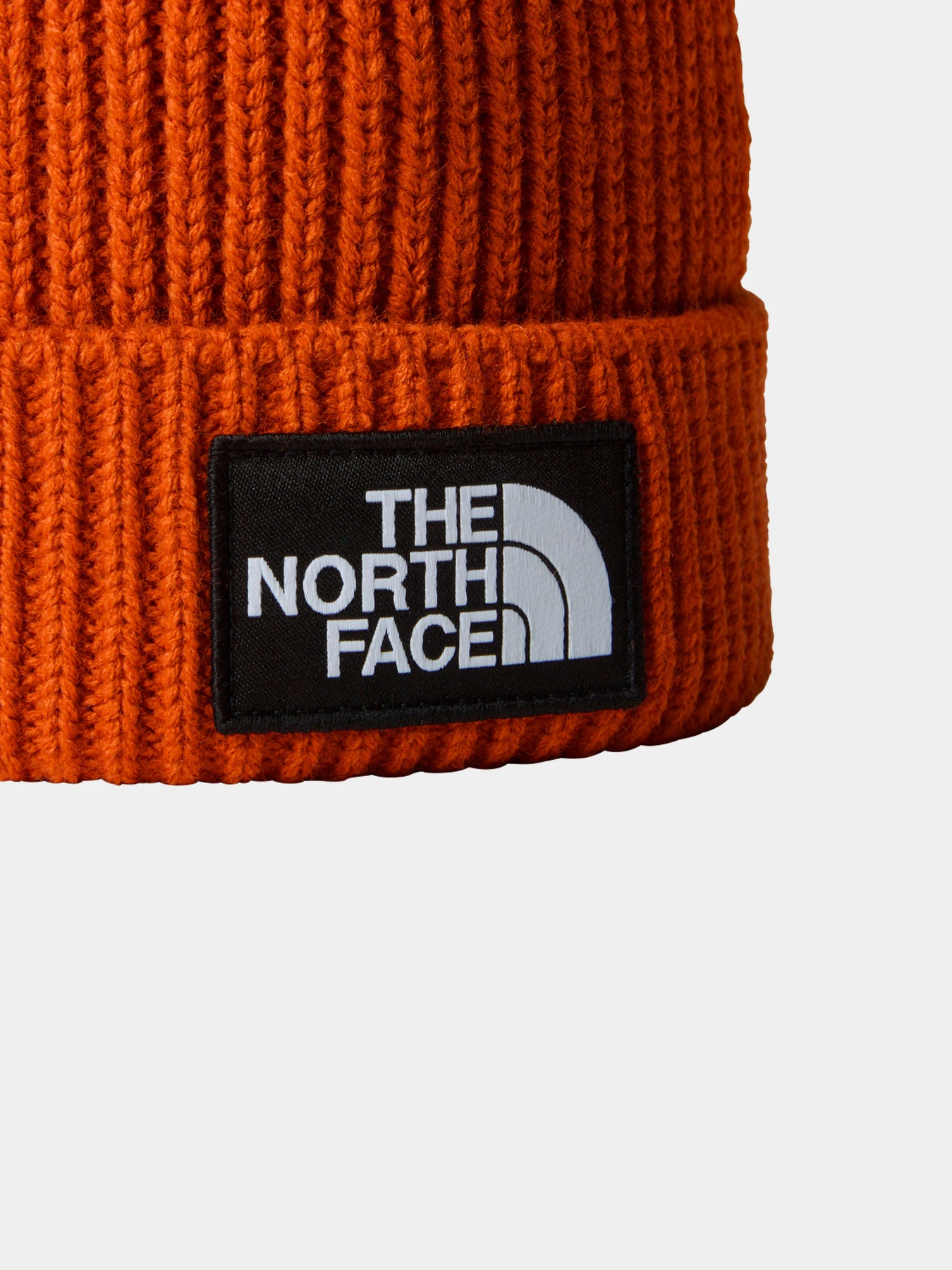 Шапки и кепки The North Face модель NF0A3FN31I01 Шапки и кепки The North Face модель NF0A3FN31I01 Фото