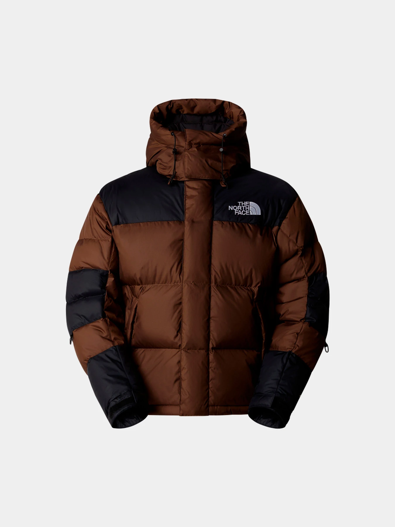 Куртки и дубленки The North Face модель NF0A832G5EX1 Фото