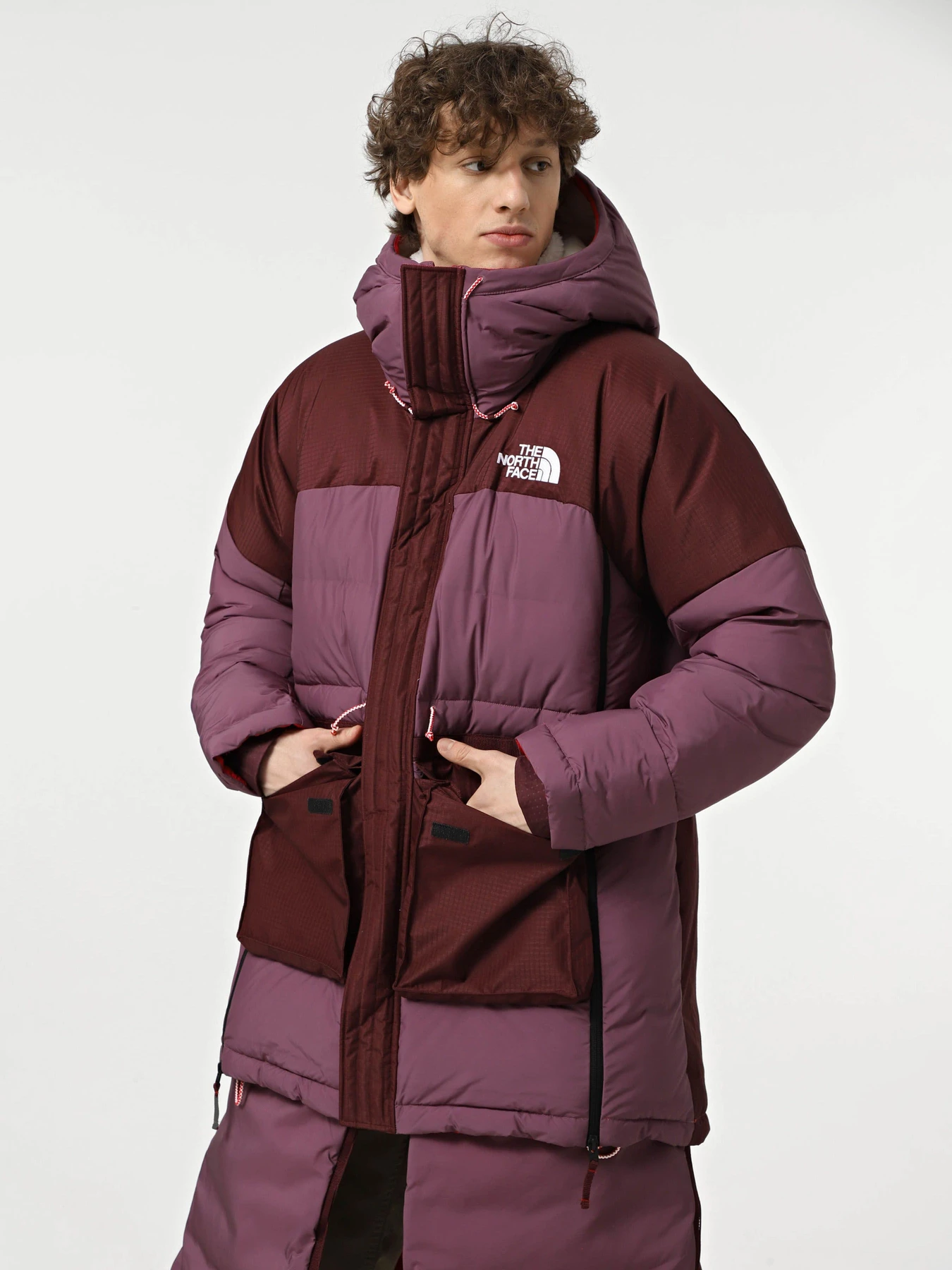 Куртки и дубленки The North Face модель NF0A87VB8VO1 Фото