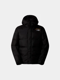 Куртки и дубленки The North Face модель NF0A88XEJK31 Фото