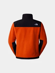 Худи и свитшоты The North Face модель NF0A88XH5PO1 Фото