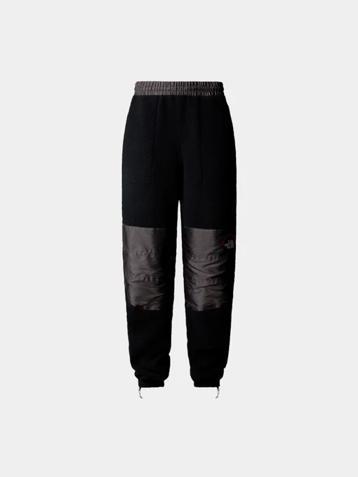 Брюки The North Face модель NF0A88YS4O41 Фото