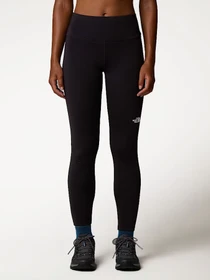 Брюки The North Face модель NF0A894MJK31 Фото