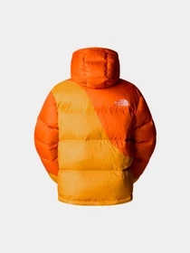 Куртки и дубленки The North Face модель NF0A89GD0IH1 Фото