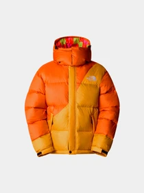 Куртки и дубленки The North Face модель NF0A89GD0IH1 Фото