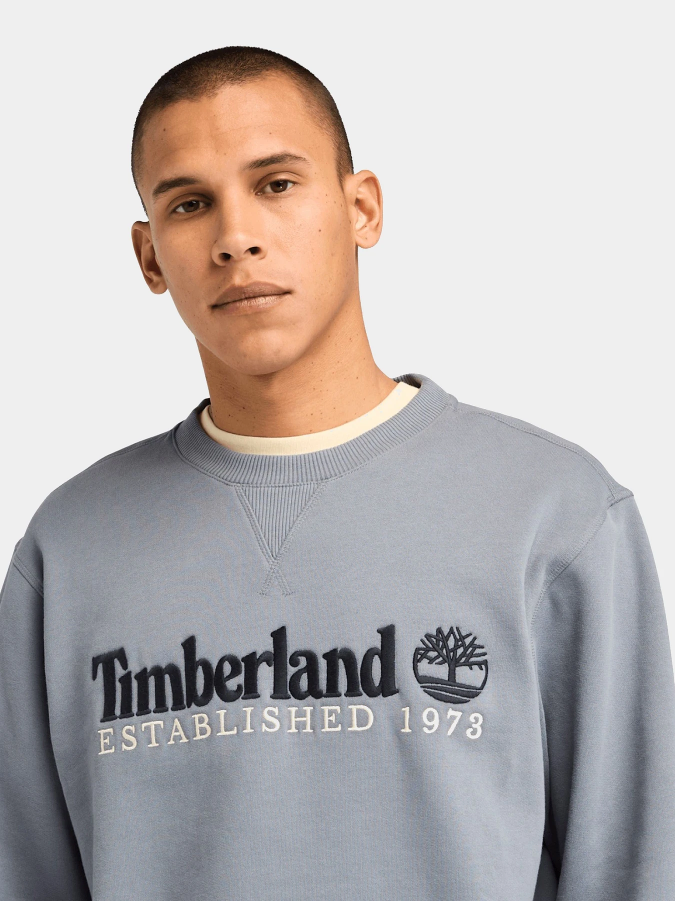 Худи и свитшоты Timberland модель TB0A65DD073 Фото