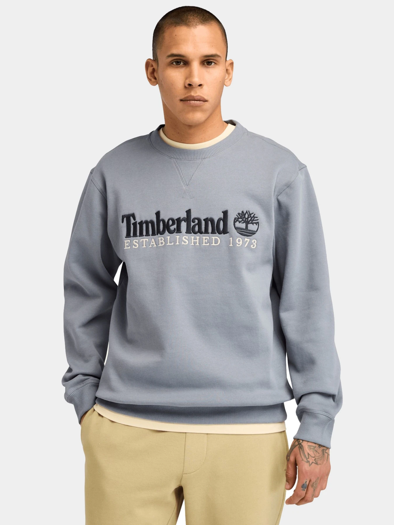 Худи и свитшоты Timberland модель TB0A65DD073 Фото