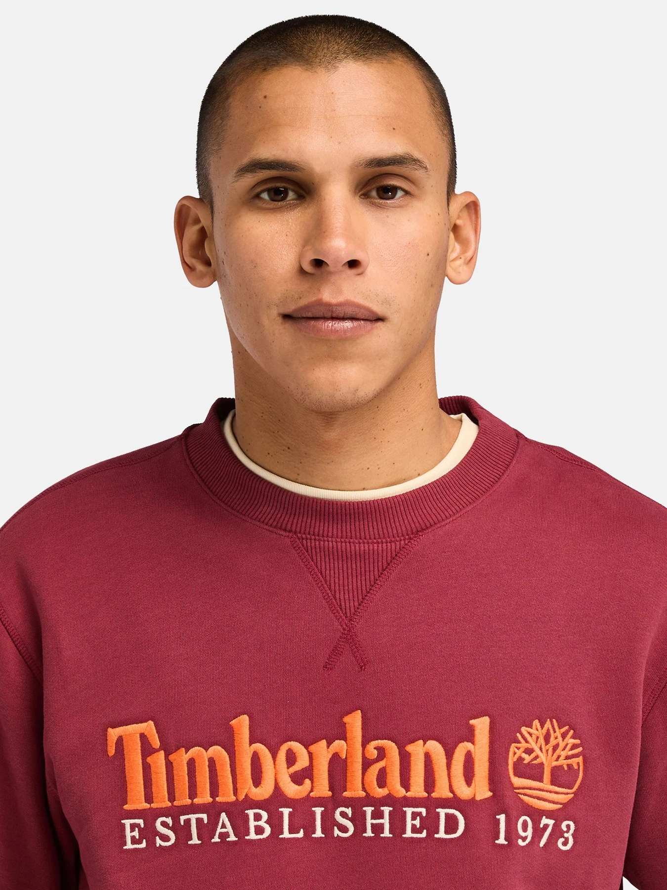Худи и свитшоты Timberland модель TB0A65DD600 Худи и свитшоты Timberland модель TB0A65DD600 Фото