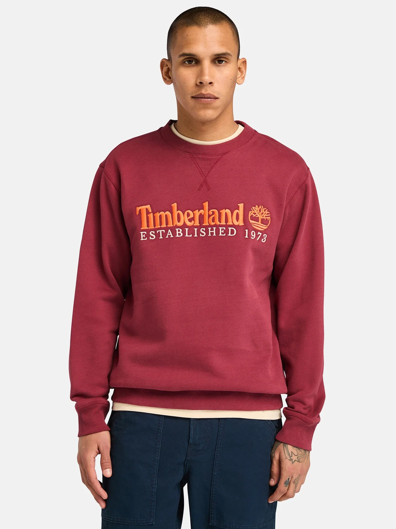 Худи и свитшоты Timberland модель TB0A65DD600 Худи и свитшоты Timberland модель TB0A65DD600 Фото