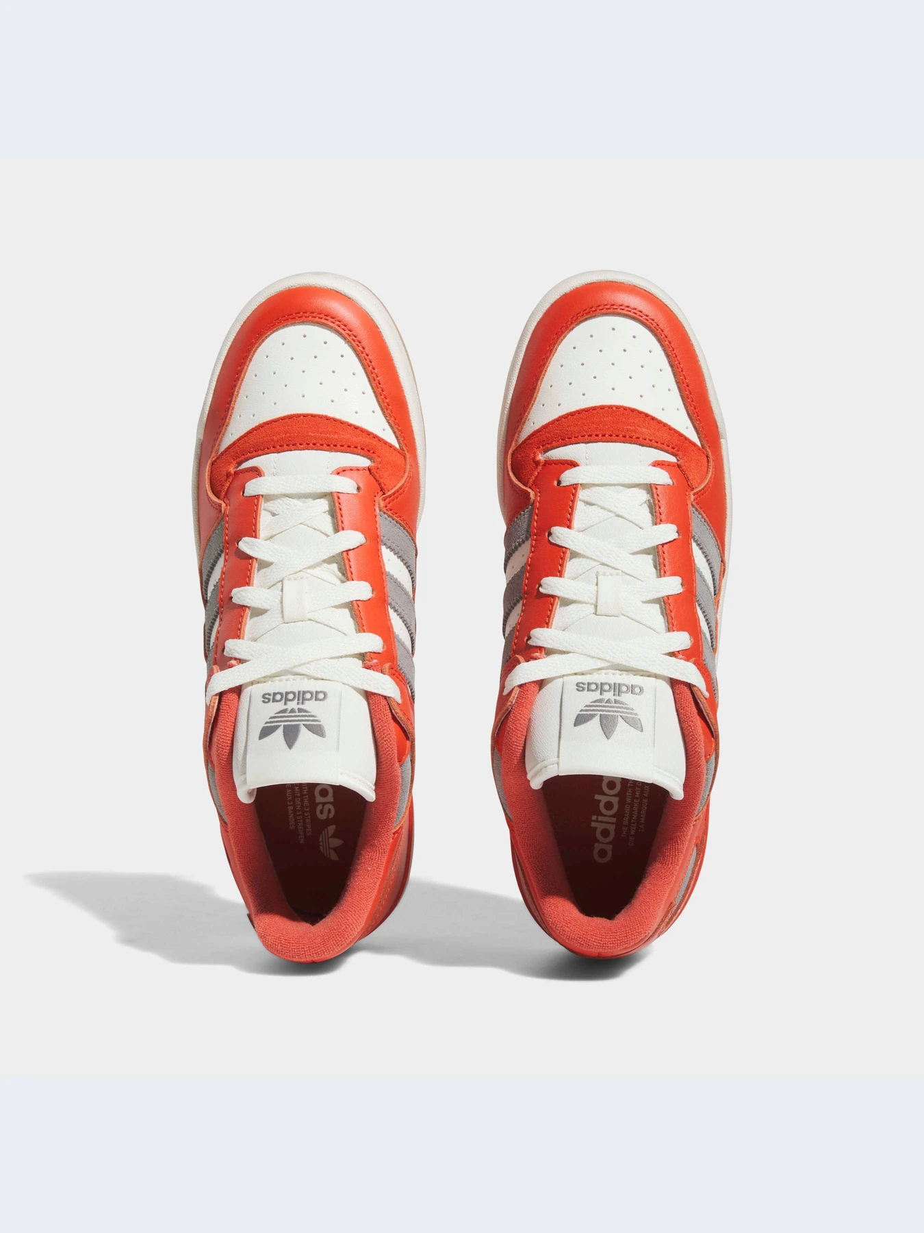 Кроссовки Adidas Forum модель FZ6273-KZ Кроссовки Adidas Forum модель FZ6273-KZ Фото