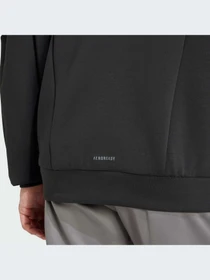 Худи и свитшоты Adidas Clima модель IY1131-KZ Фото