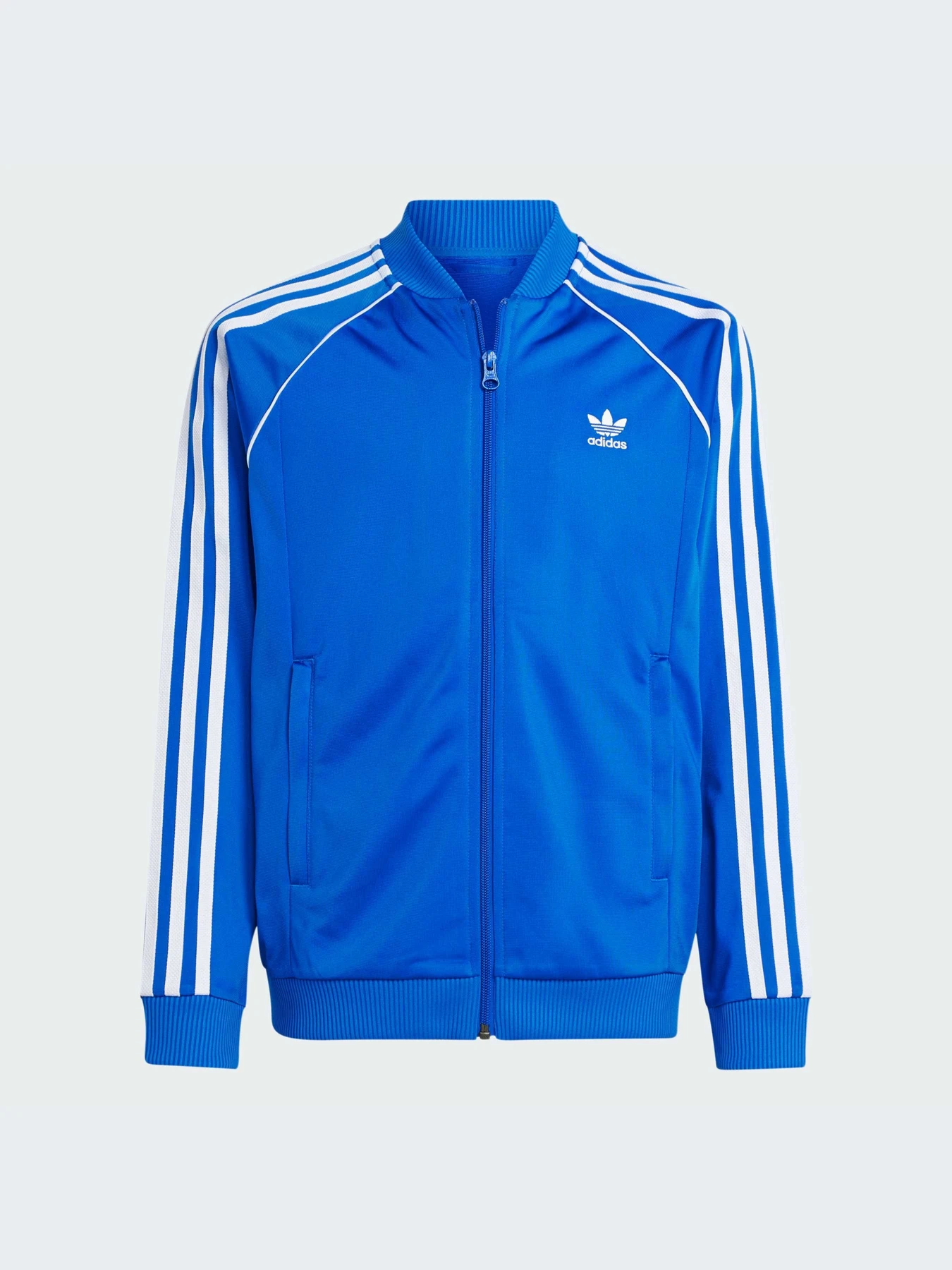 Худи и свитшоты Adidas Adicolor модель IY1583-KZ Худи и свитшоты Adidas Adicolor модель IY1583-KZ Фото