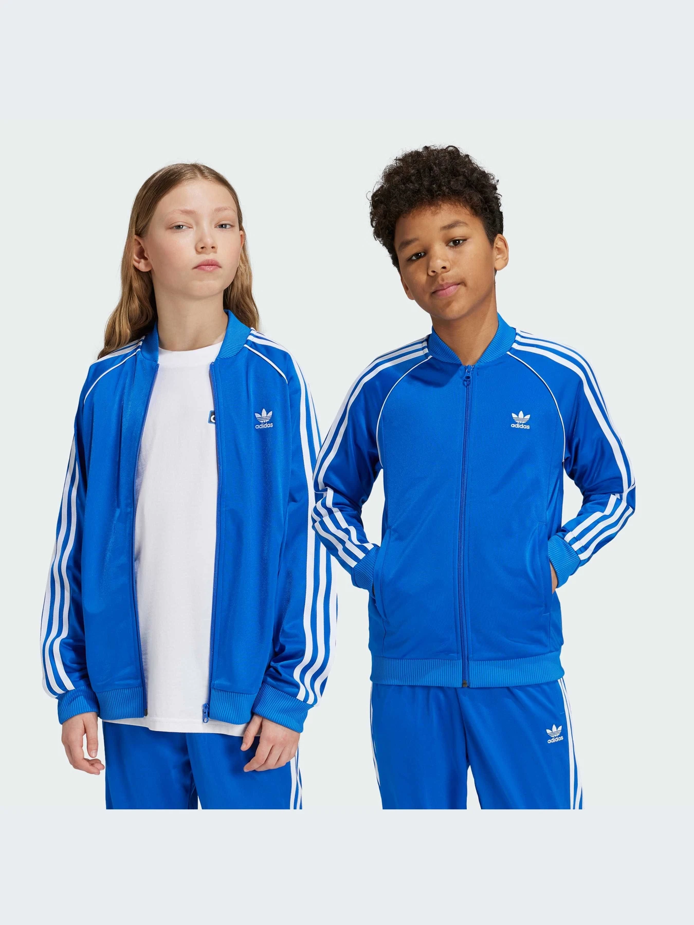 Худи и свитшоты Adidas Adicolor модель IY1583-KZ Худи и свитшоты Adidas Adicolor модель IY1583-KZ Фото