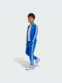 Худи и свитшоты Adidas Adicolor модель IY1583-KZ Фото