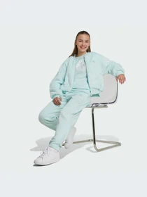 Куртки и дубленки Adidas модель IV9420-KZ Фото