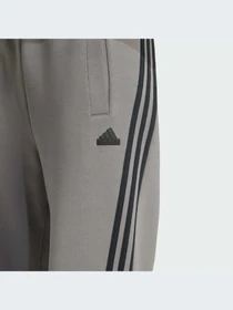 Брюки Adidas модель IW5272-KZ Фото