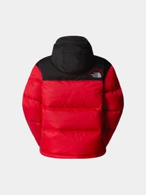 Куртки и дубленки The North Face модель NF0A3XEO7GO1 Фото