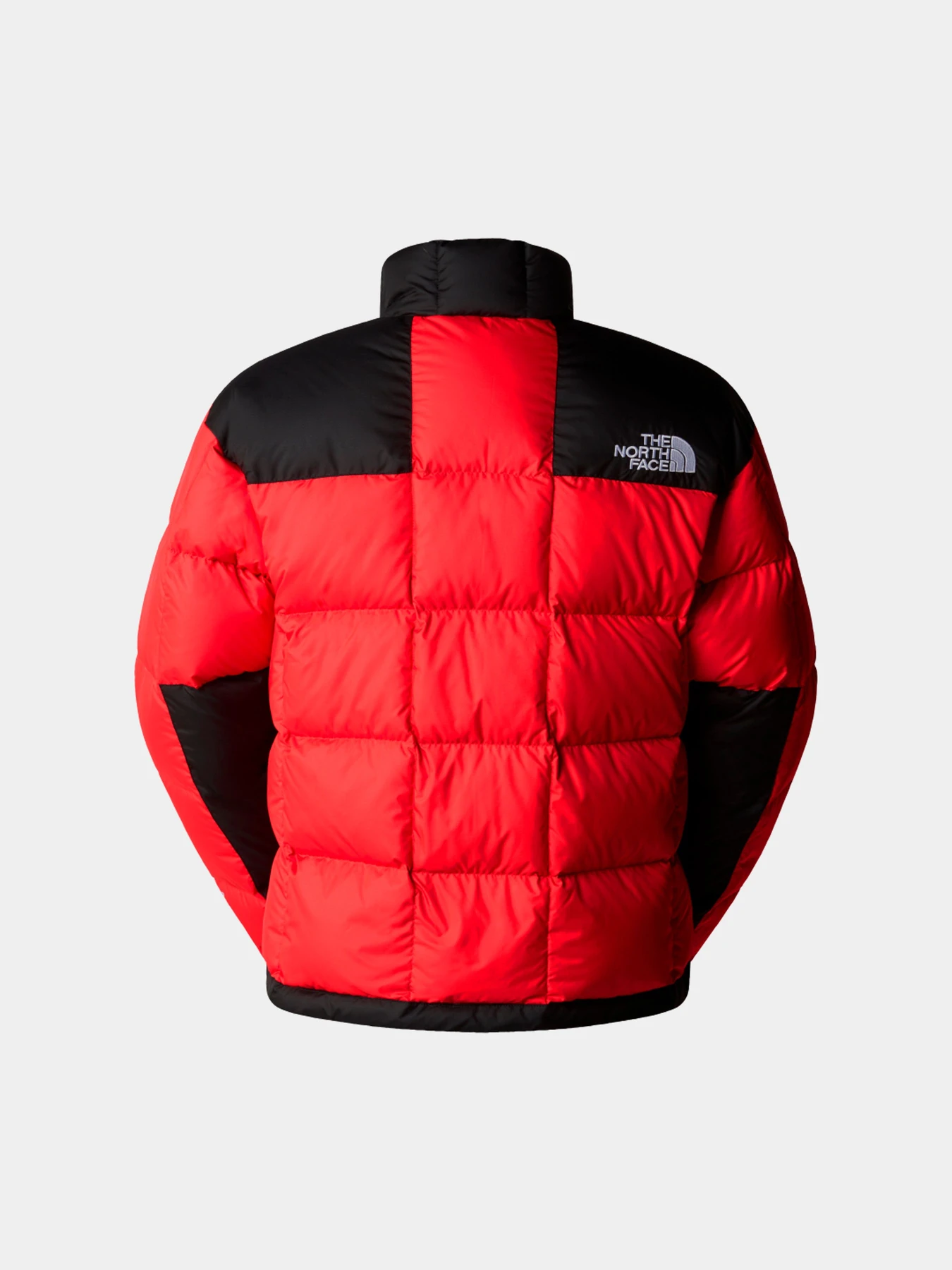 Куртки и дубленки The North Face модель NF0A3Y236821 Куртки и дубленки The North Face модель NF0A3Y236821 Фото