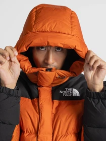 Куртки и дубленки The North Face модель NF0A4QYX5PO1 Фото