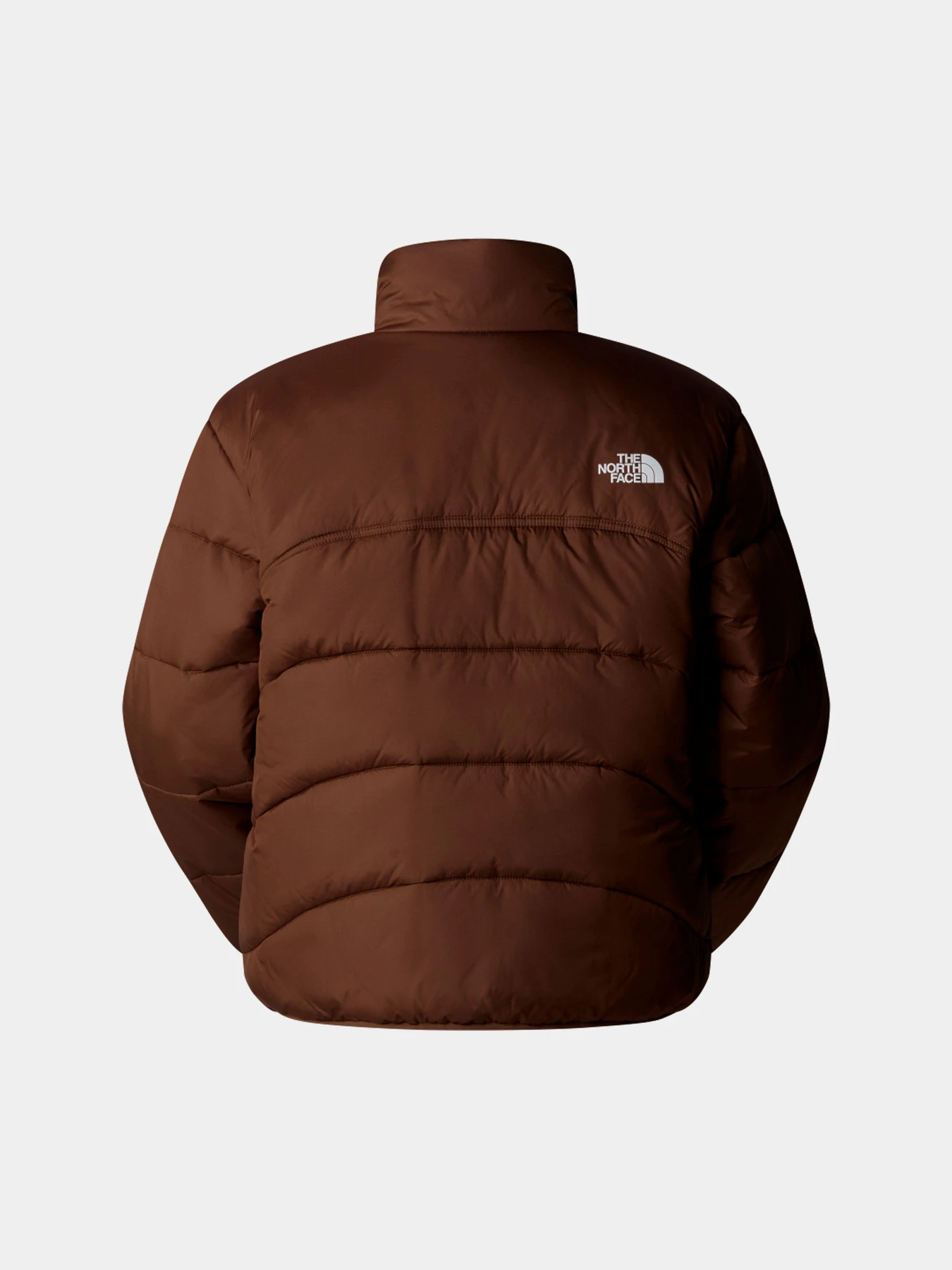 Куртки и дубленки The North Face модель NF0A7URF1OI1 Куртки и дубленки The North Face модель NF0A7URF1OI1 Фото