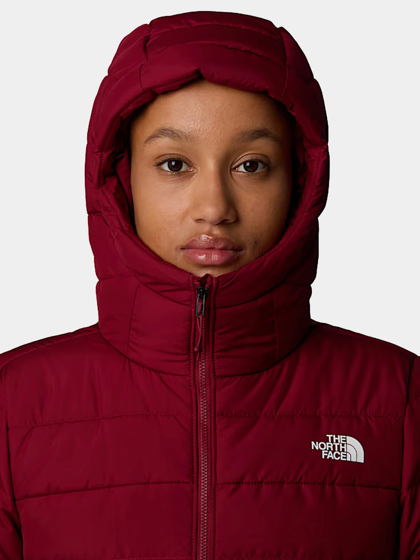 Куртки и дубленки The North Face модель NF0A84IV1IX1 Куртки и дубленки The North Face модель NF0A84IV1IX1 Фото