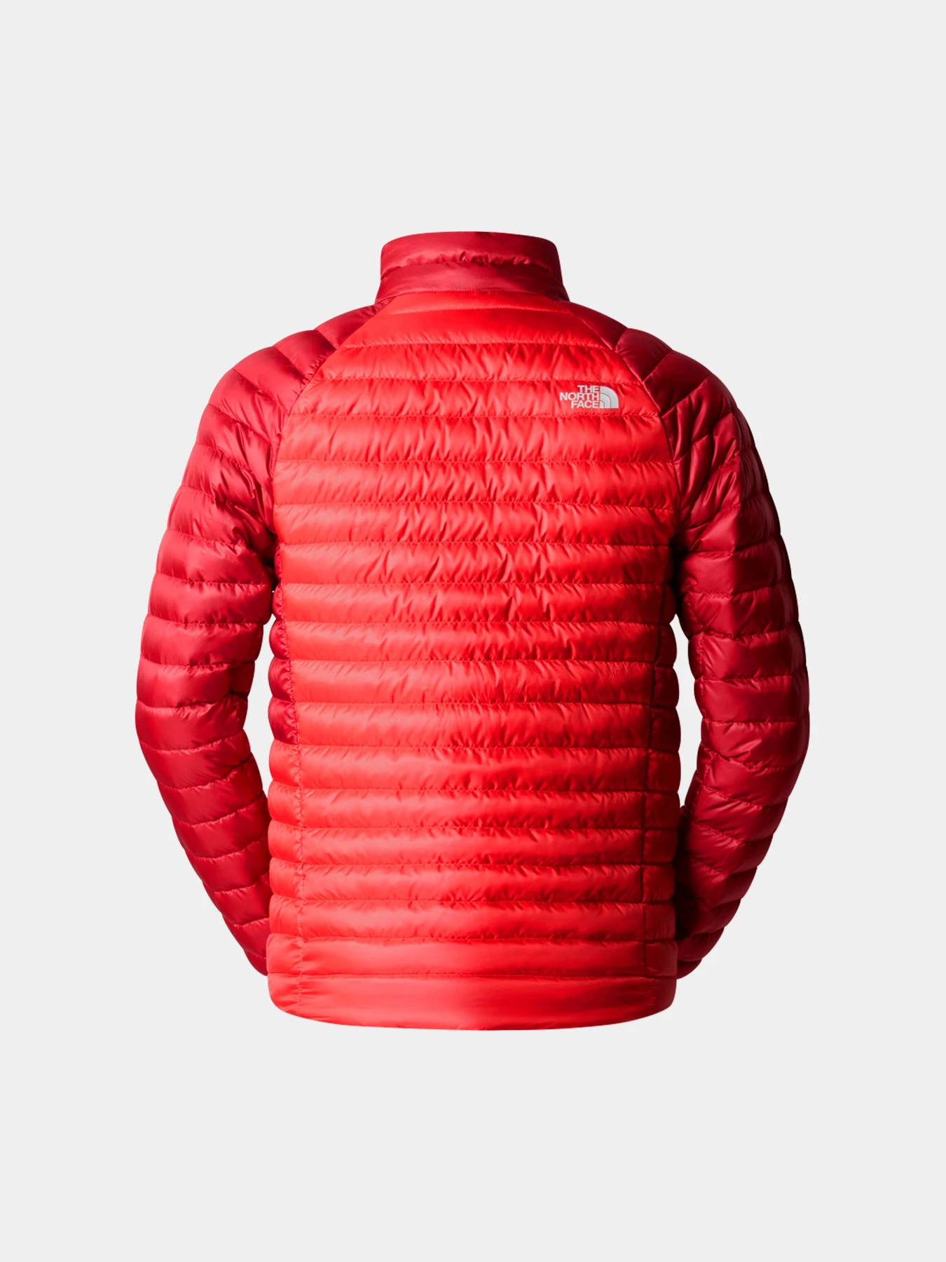 Куртки и дубленки The North Face модель NF0A87GY7IR1 Куртки и дубленки The North Face модель NF0A87GY7IR1 Фото