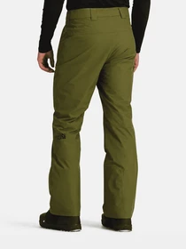 Брюки The North Face модель NF0A87ZYPIB1 Фото
