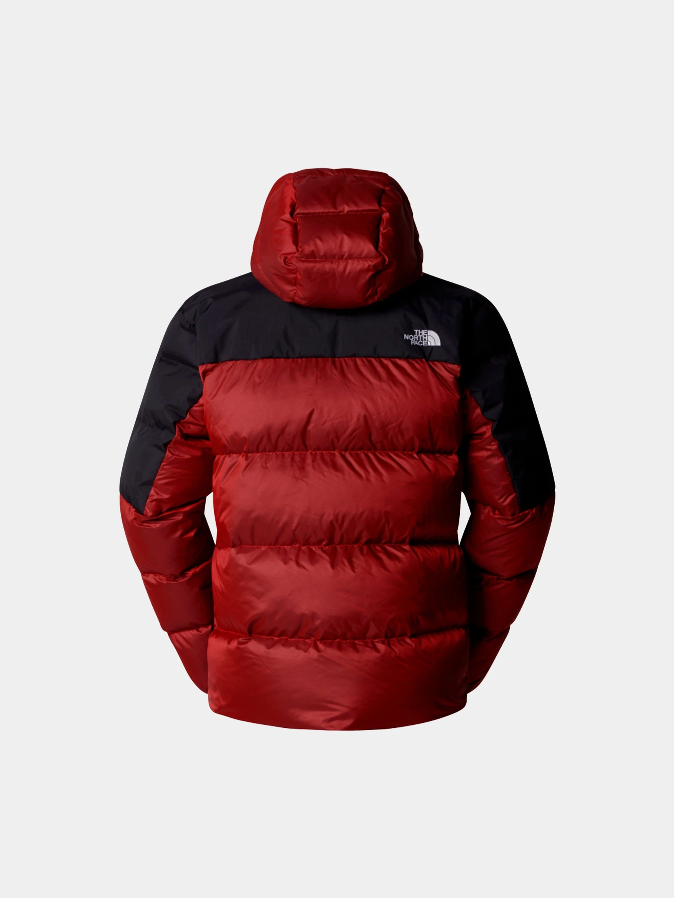 Куртки и дубленки The North Face модель NF0A899290O1 Фото