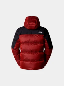 Куртки и дубленки The North Face модель NF0A899290O1 Фото