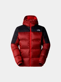 Куртки и дубленки The North Face модель NF0A899290O1 Фото