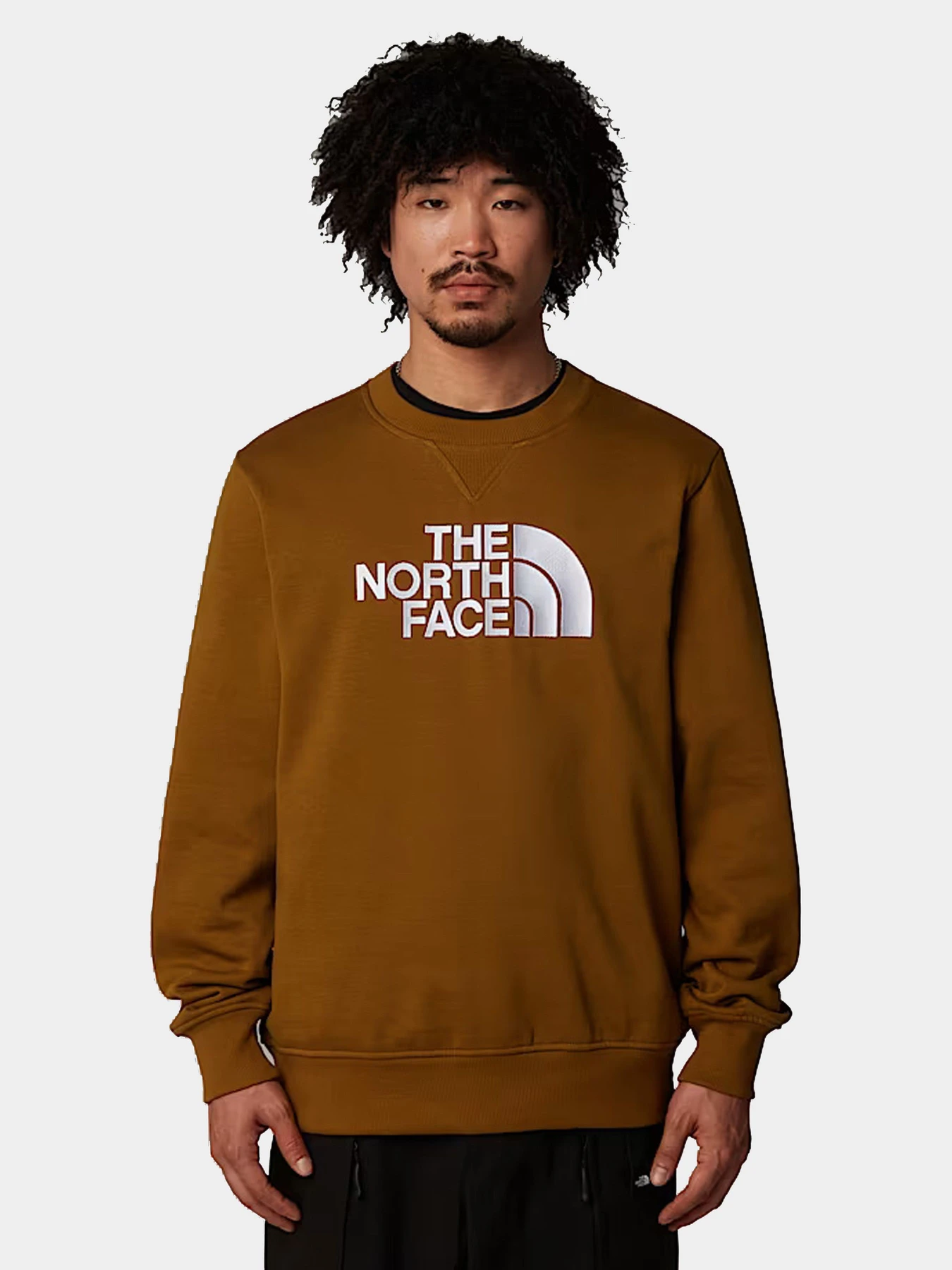 Худи и свитшоты The North Face модель NF0A89EK1OB1 Худи и свитшоты The North Face модель NF0A89EK1OB1 Фото