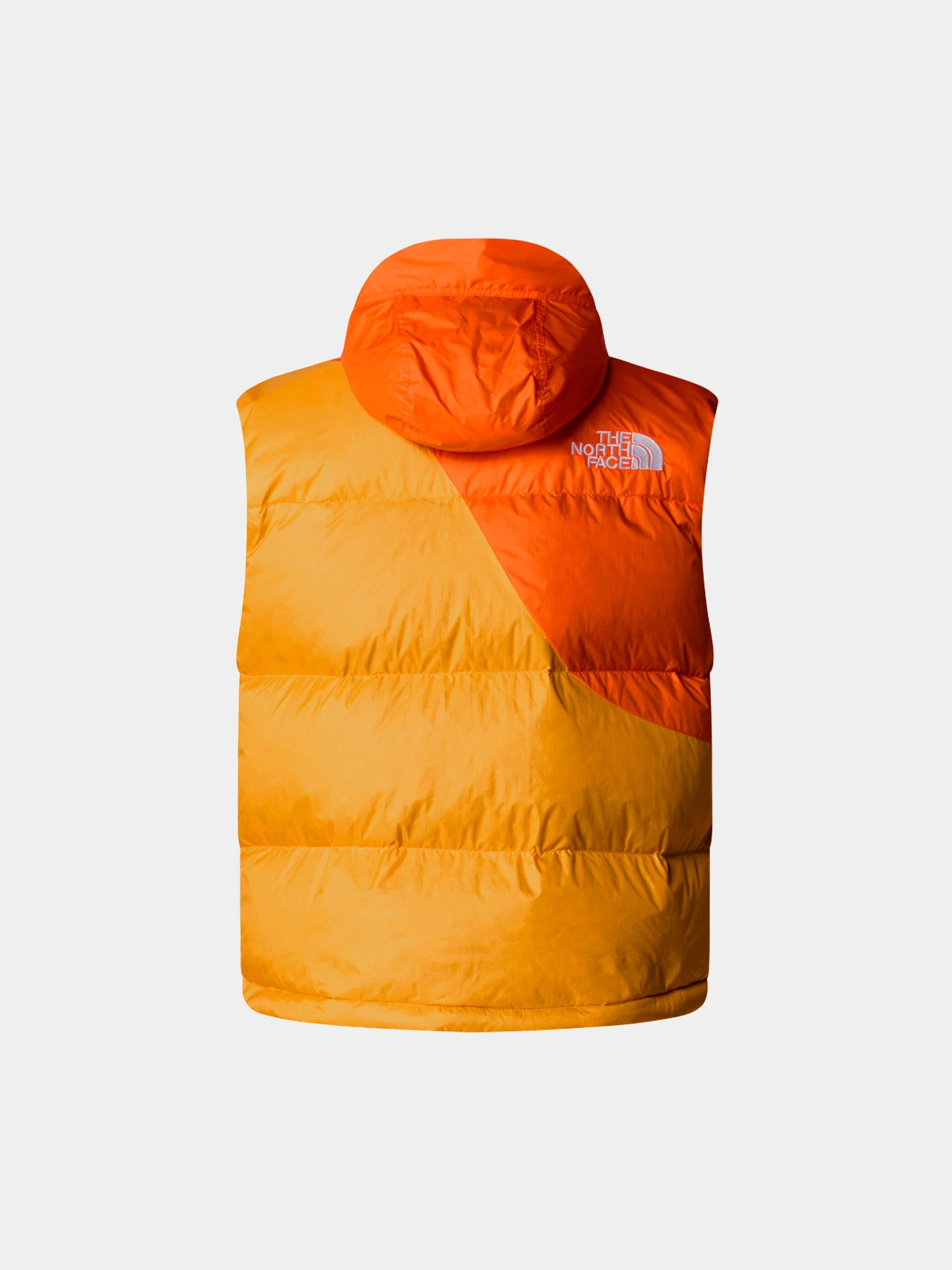 Куртки и дубленки The North Face модель NF0A89GE0IH1 Куртки и дубленки The North Face модель NF0A89GE0IH1 Фото