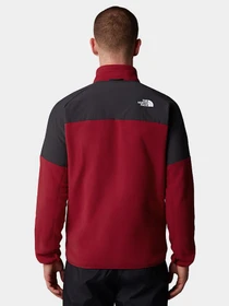 Худи и свитшоты The North Face модель NF0A89JG86O1 Фото