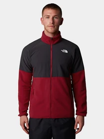 Худи и свитшоты The North Face модель NF0A89JG86O1 Фото