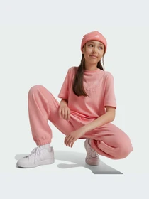 Футболки и поло Adidas Культовые силуэты модель IV7114-KZ Фото
